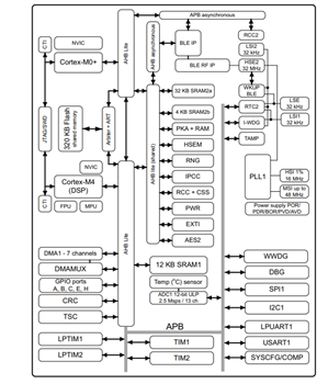 Block Diagram - STMicroelectronics STM32WB1xCC Multiprotocol Wireless 32-bit MCUs